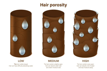 La Porosité Capillaire : Comprendre Vos Cheveux pour Mieux les Soigner.     Par Margarie.LeSalon™ | Approche Trichologue Holistique