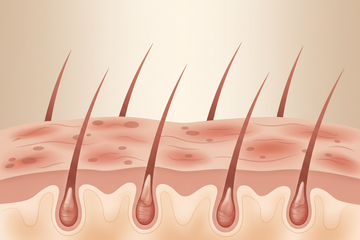 Inflammation et Croissance Capillaire : Le Lien Caché Qui Freine la Santé de Vos Cheveux  Par Margarie.LeSalon™ | Approche Trichologique Holistique